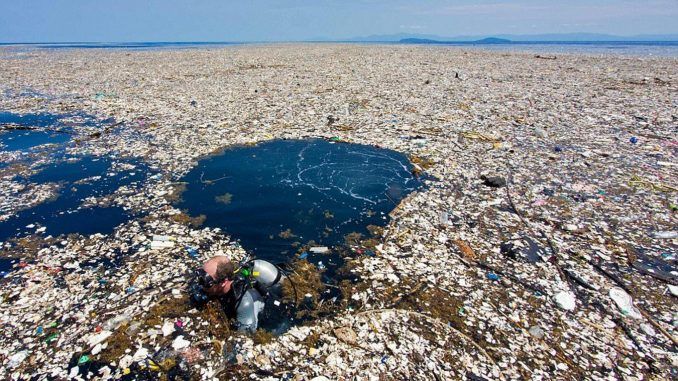 plastico
